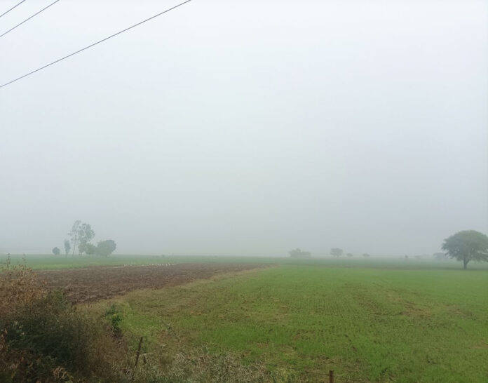 20 Sehore Photo 12