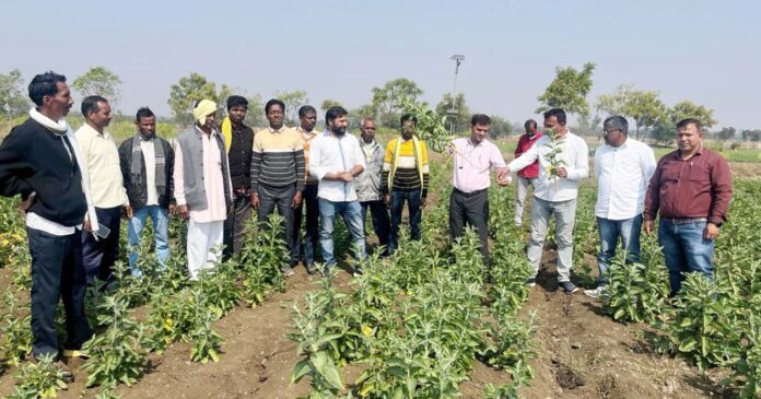 20 sehore photo 10